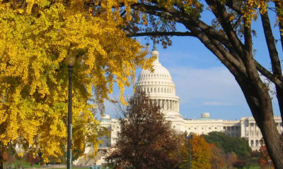 Capitol in the fall